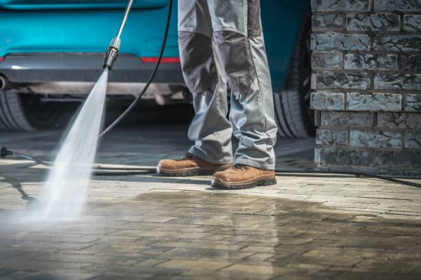 Best Fleet Vehicle Washing  in New Ulm, MN
